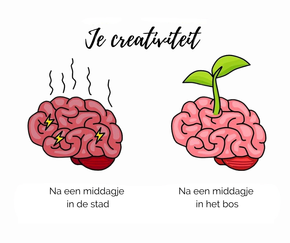 Onderzoek naar natuur en zingeving: wat betekent dit voor bosbadgidsen?