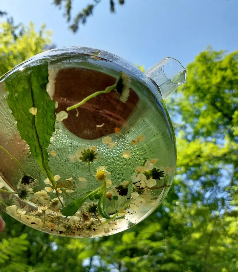 BirgitTheepot1.jpg