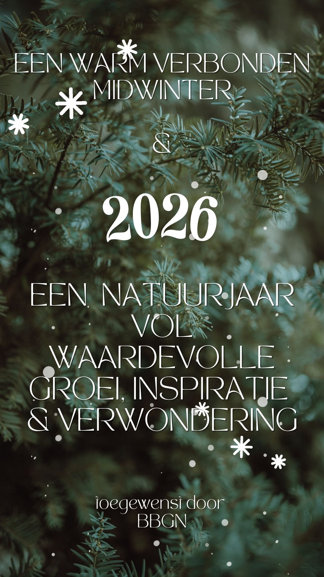 Terugblik 2025: samen geworteld, samen in beweging
