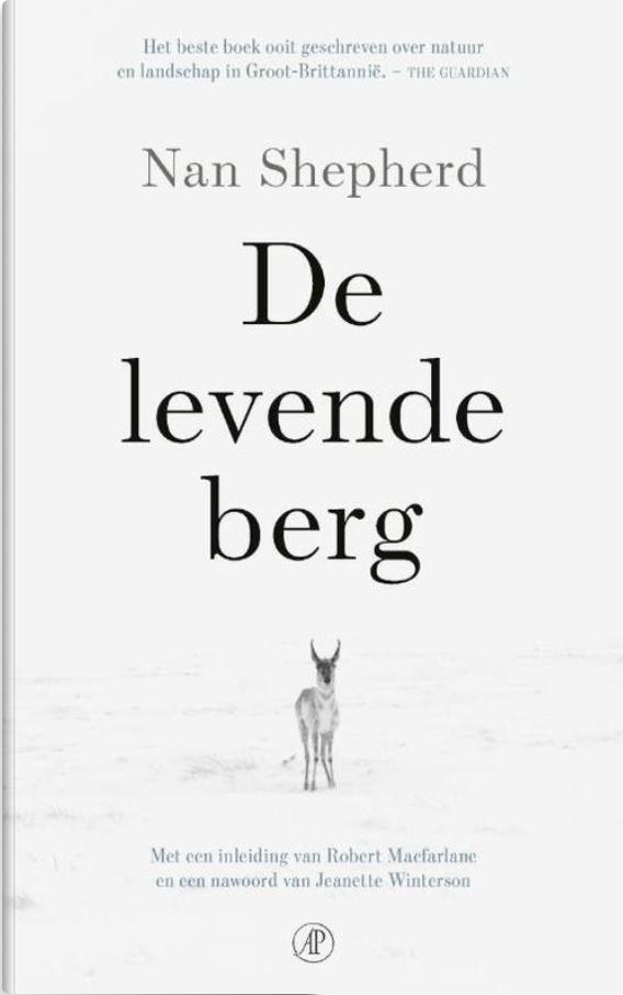 GROENE TIP VAN JUNI