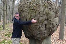 Bomen lezen met Simen Brunia