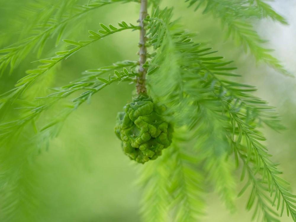 untitledshoot-7010657-Edit-2.jpg