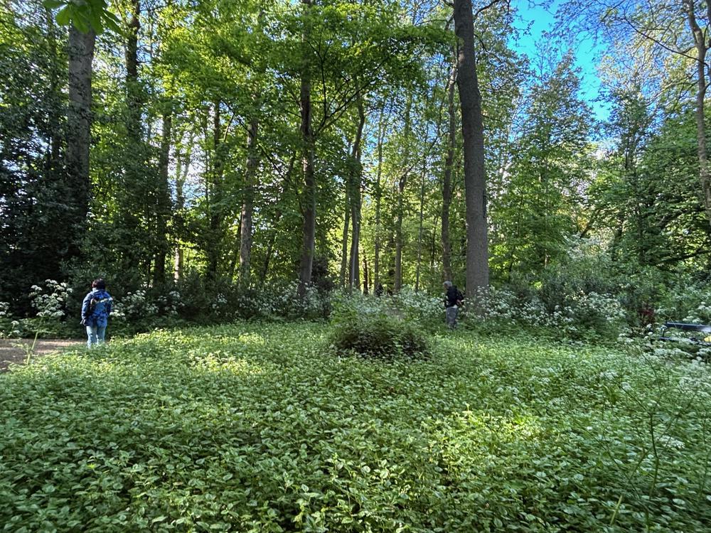 GudrunTempel3.jpg