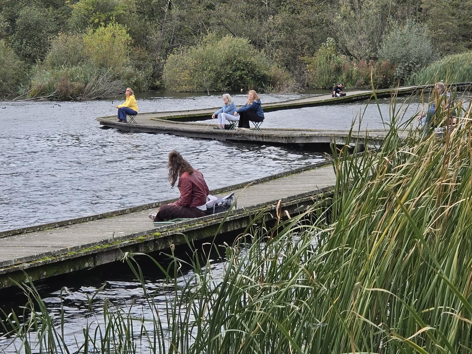 Van Groningen tot Maastricht: samen bosbaden voor de Groene GGZ