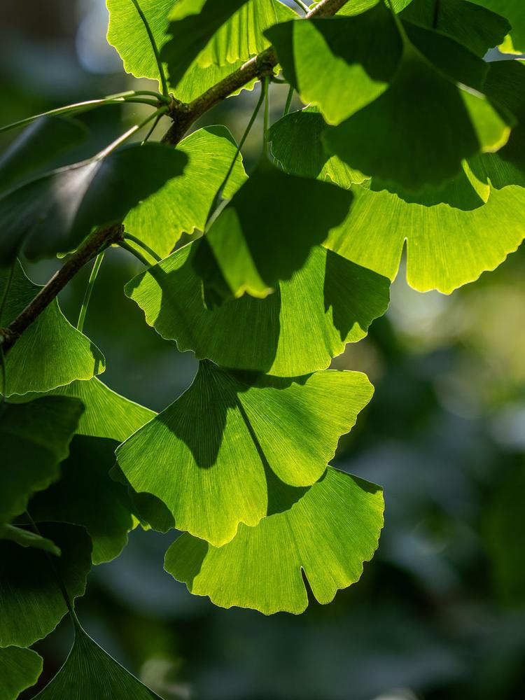 untitledshoot-7010634-Edit.jpg
