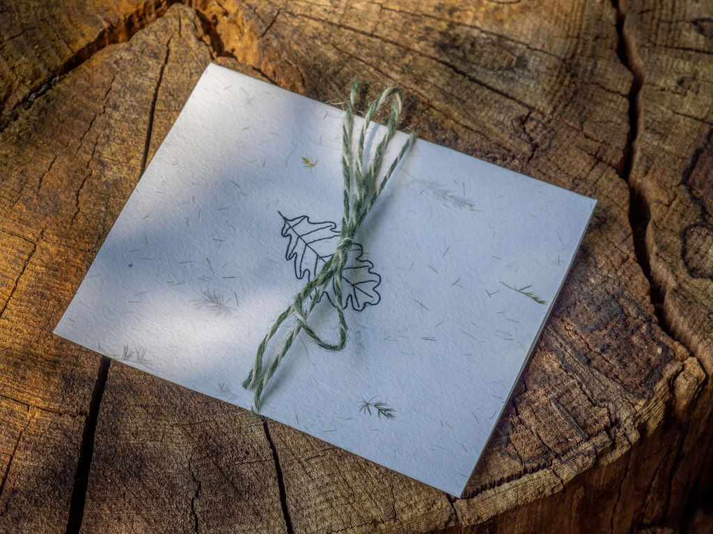 Workshop Bosbaden voor Teams (bosbadgidsendag)