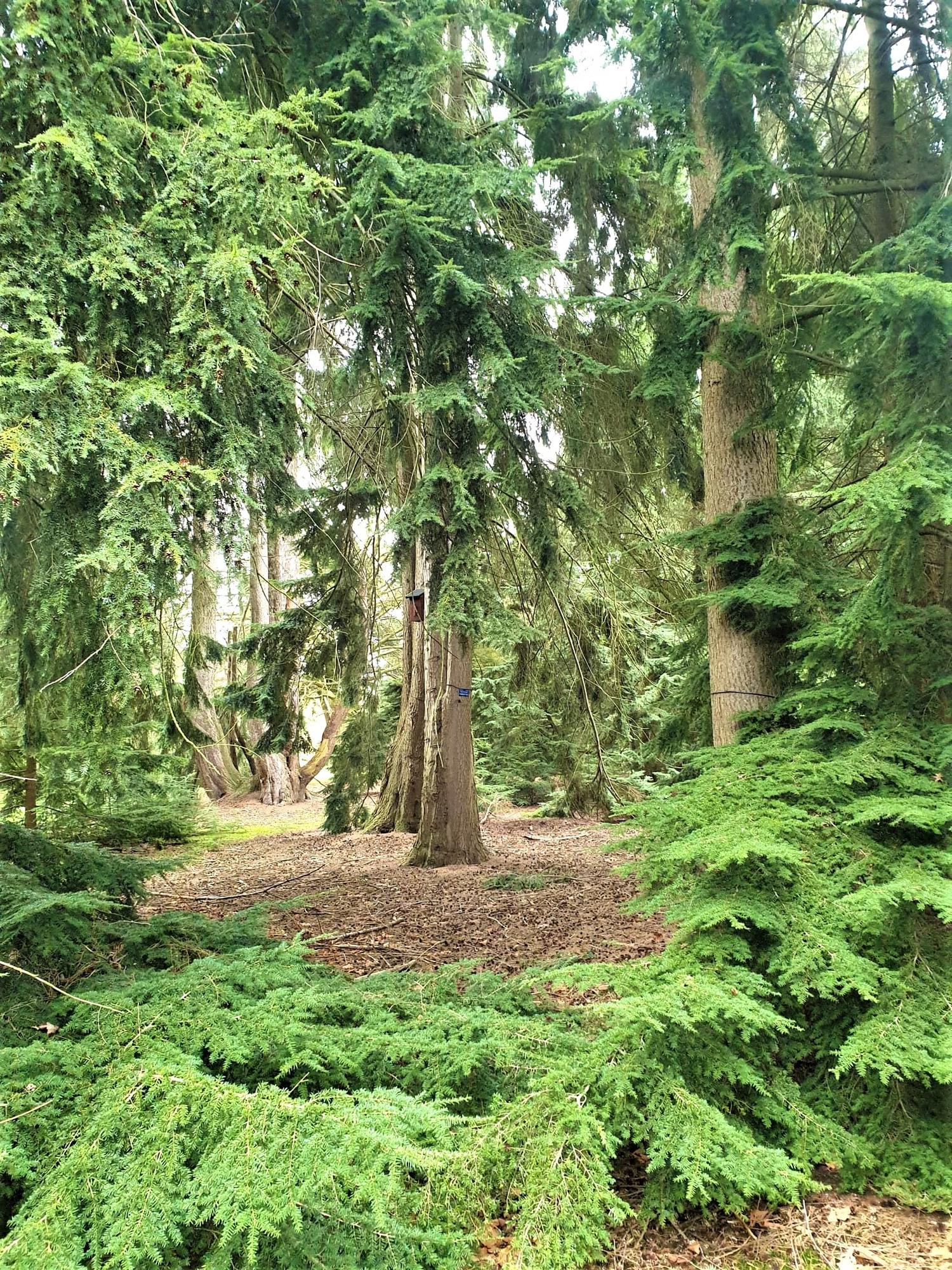 In het Ritme van de Aarde 