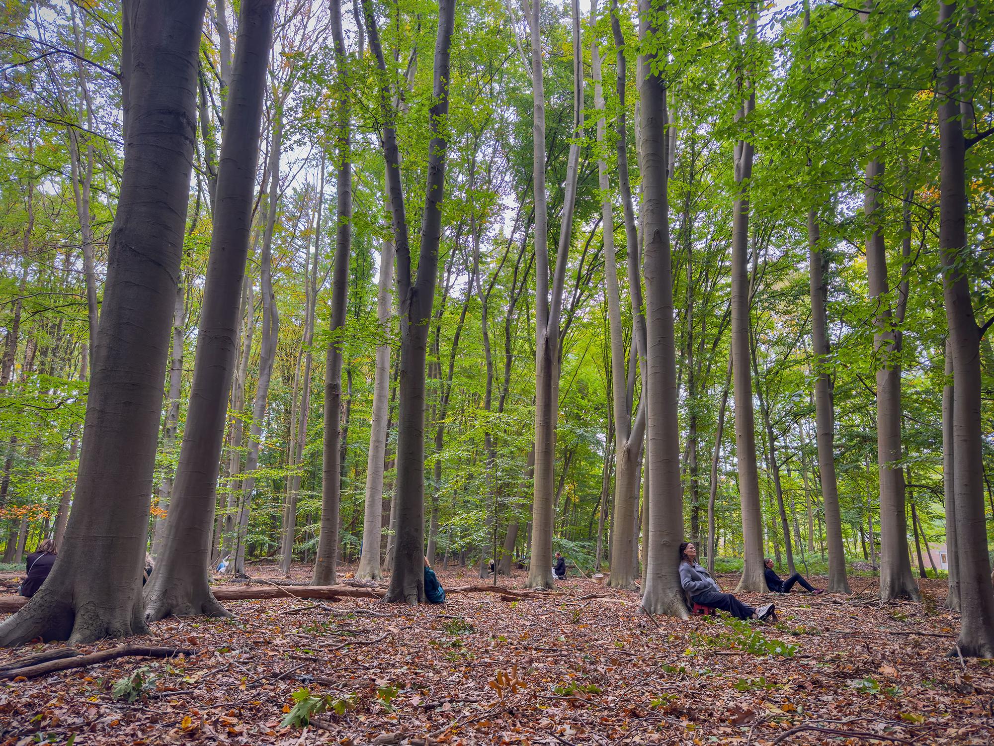 Interview  met Femke – over de kracht van de natuur, herstel door natuur en de GGZ