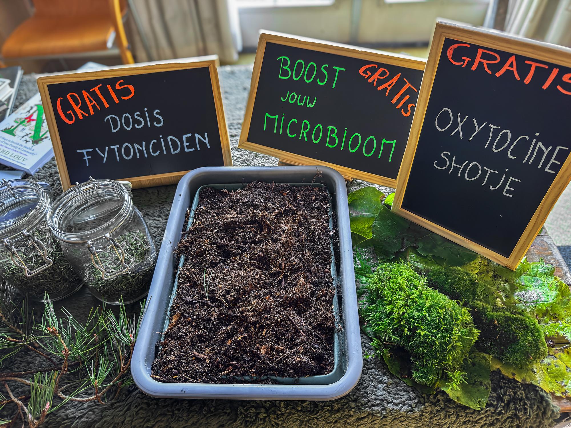 Interview  met Femke – over de kracht van de natuur, herstel door natuur en de GGZ