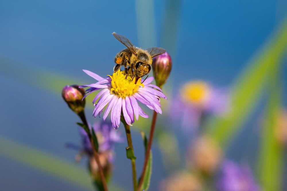 Outdoor office day en Missie Mentaal: Twee mooie kansen om aan te haken