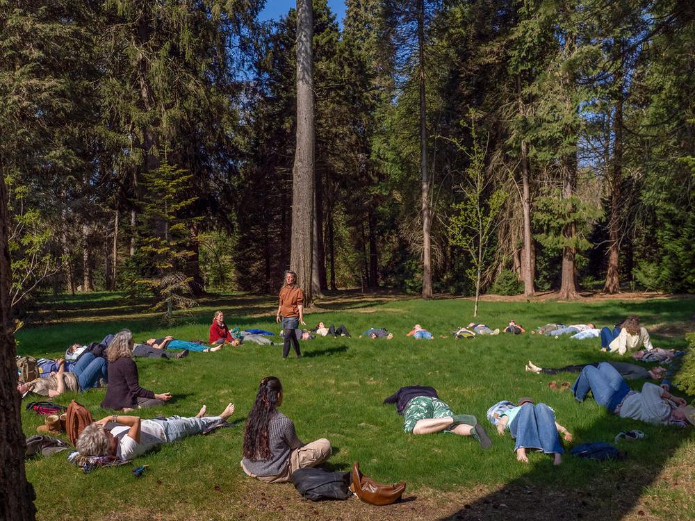Bosbadgidsendag ALV (Earth Day ’26)