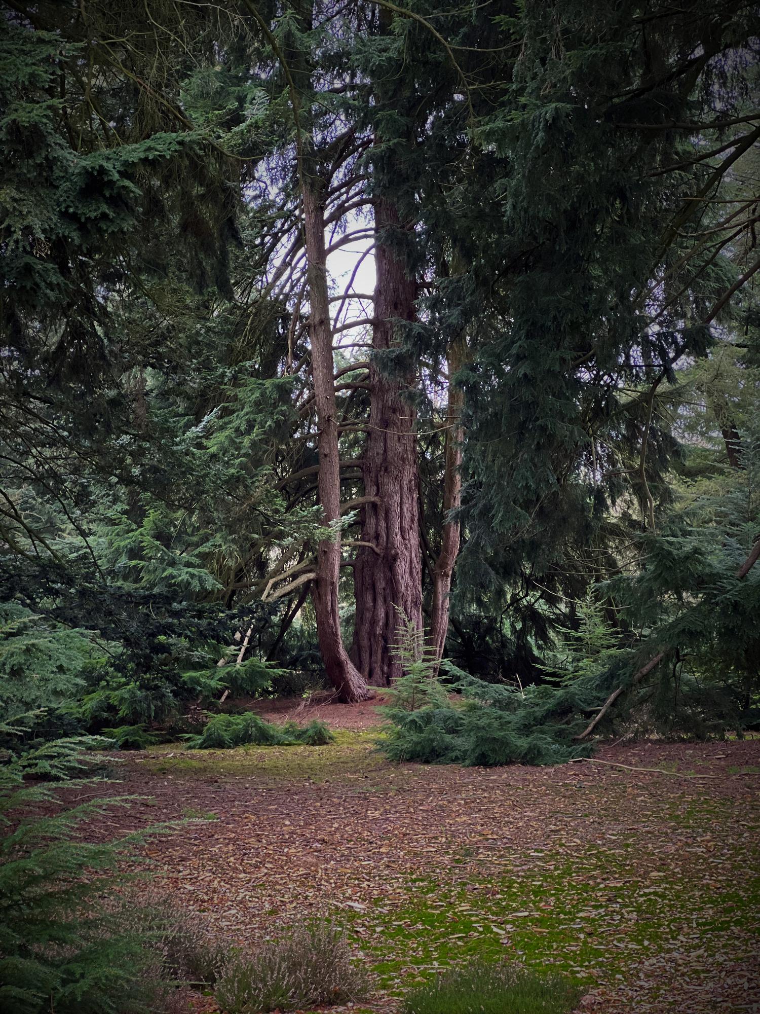 In het Ritme van de Aarde 