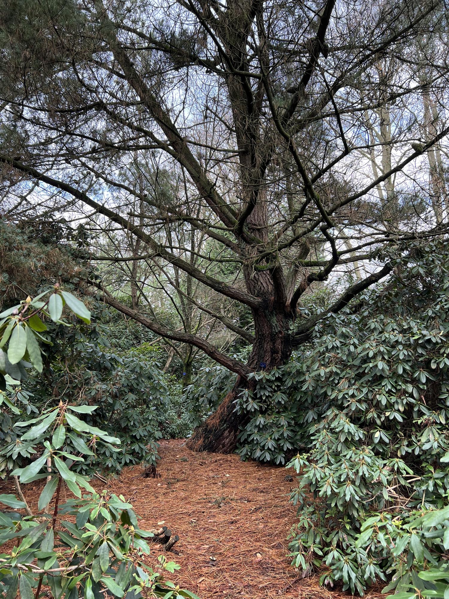 In het Ritme van de Aarde 