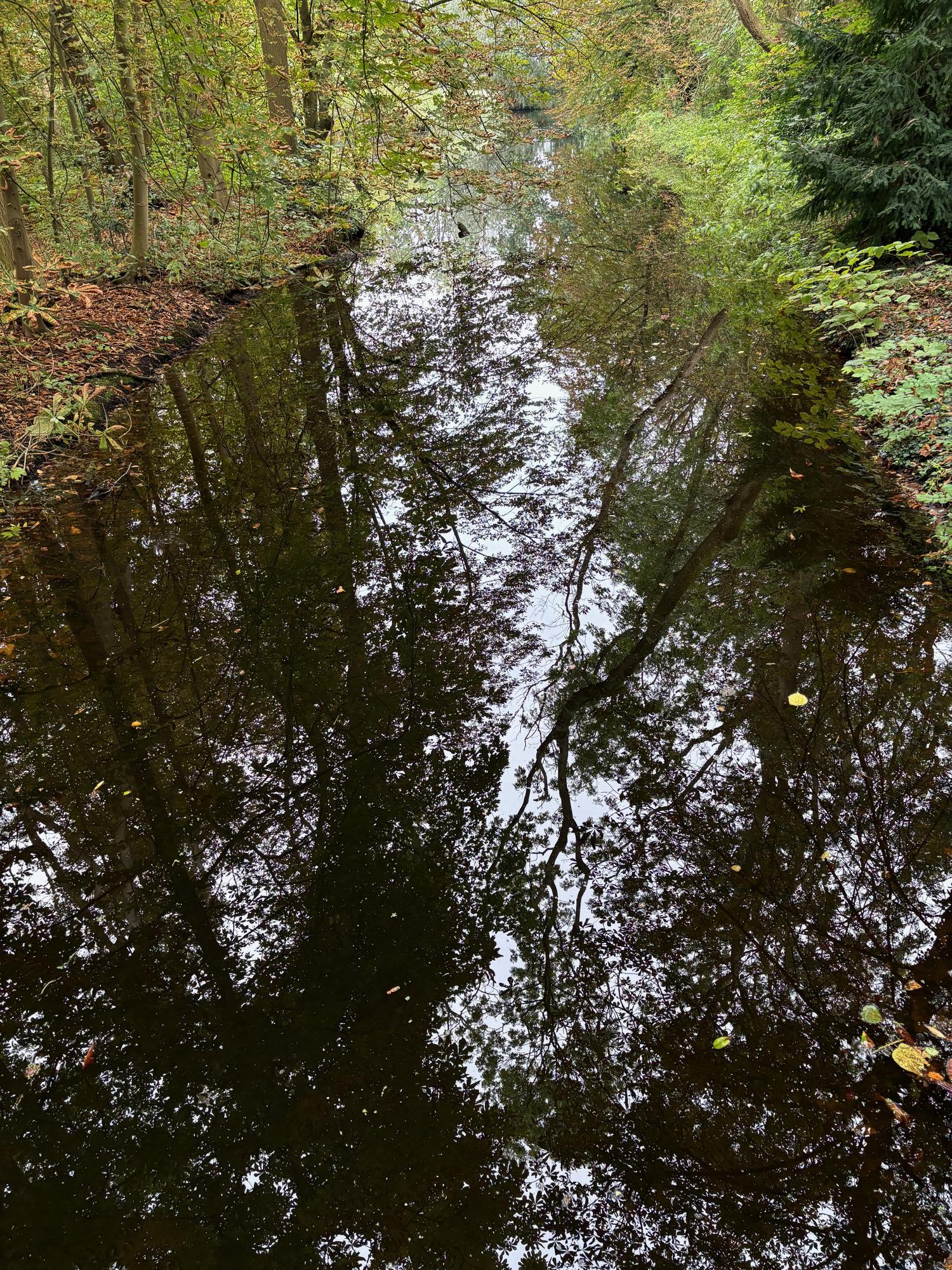 Bosbaden en terreinbeheerders – de stand van zaken