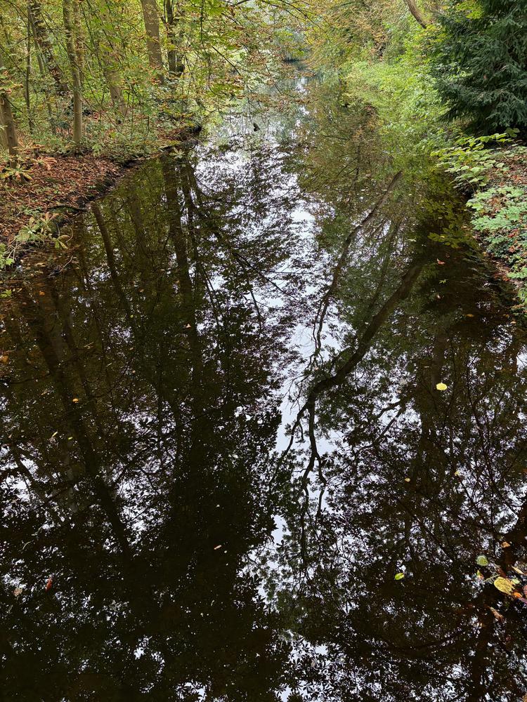 Bosbaden en terreinbeheerders – de stand van zaken
