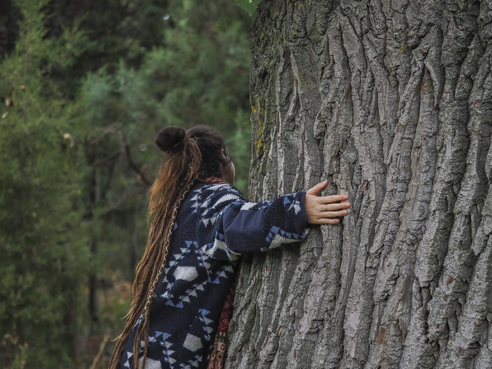 Interview  met Femke – over de kracht van de natuur, herstel door natuur en de GGZ
