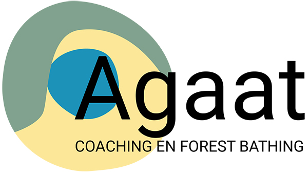 De Bosbadcoach